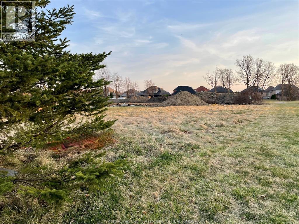 1067 North Talbot, Windsor, Ontario  N9G 1M8 - Photo 8 - 25020297