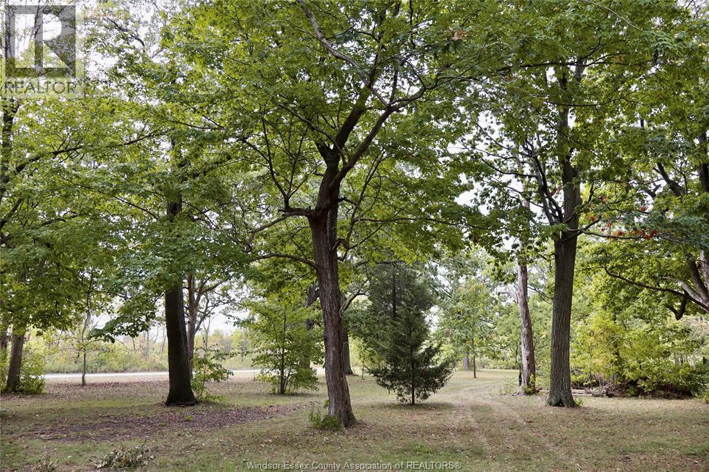 761 East West Road, Pelee Island, Ontario  N0R 1M0 - Photo 4 - 25024008