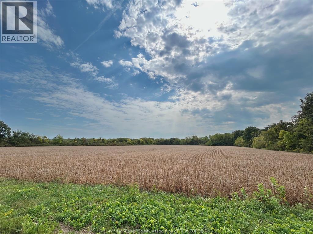 761 East West Road, Pelee Island, Ontario  N0R 1M0 - Photo 5 - 25024008