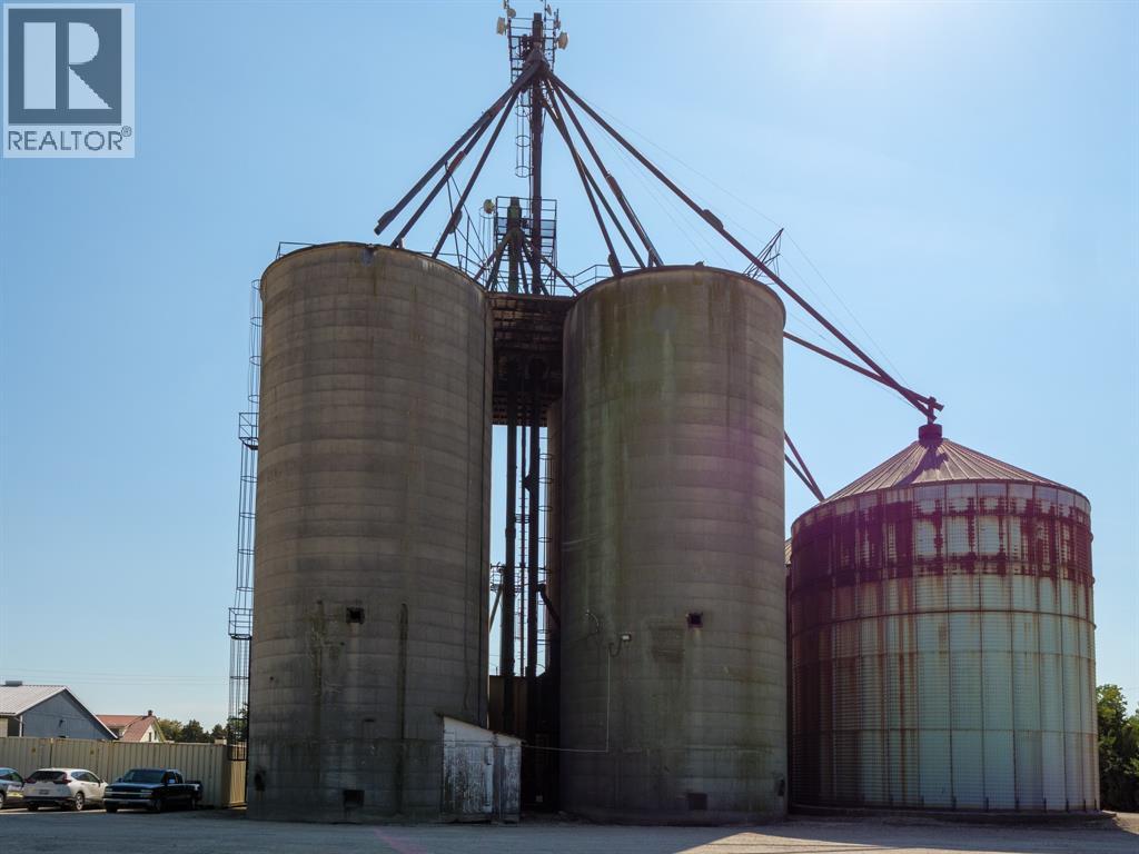 44 Sinasac Street West, Harrow, Ontario  N0R 1G0 - Photo 27 - 25025151