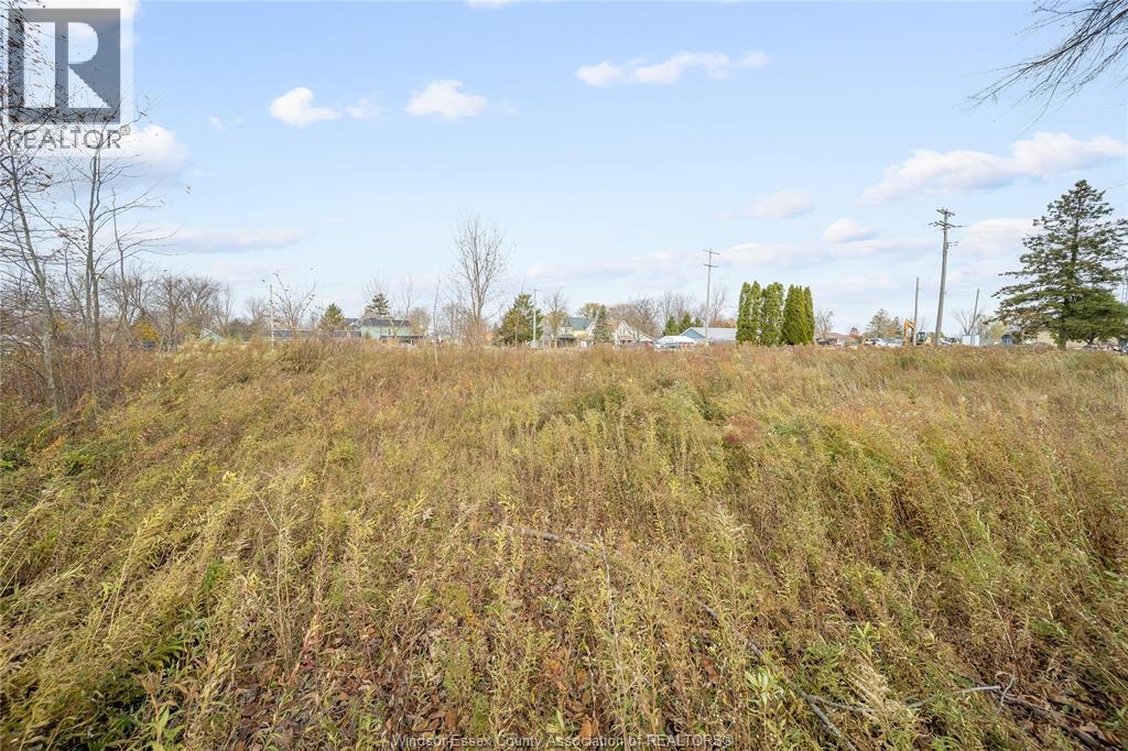 123 Erie St. S., Merlin, Ontario  N0P 1W0 - Photo 6 - 25028477