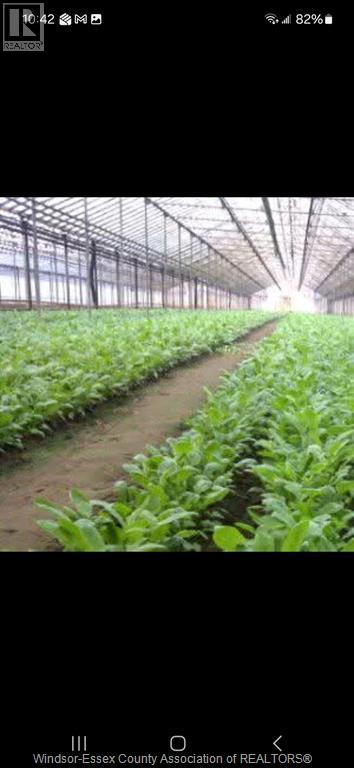 725 Mersea Rd 6 East, Leamington, Ontario  N8H 3V8 - Photo 10 - 25030540