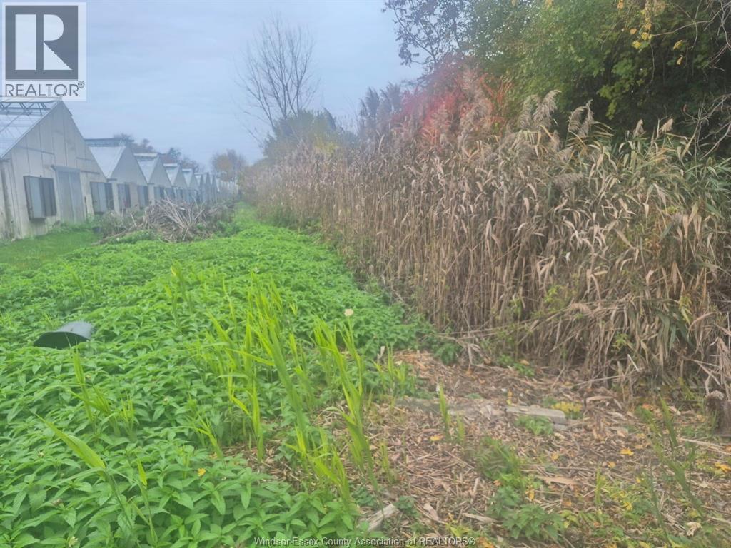 725 Mersea Rd 6 East, Leamington, Ontario  N8H 3V8 - Photo 21 - 25030540