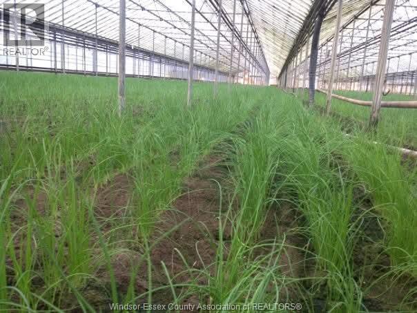 725 Mersea Rd 6 East, Leamington, Ontario  N8H 3V8 - Photo 43 - 25030540