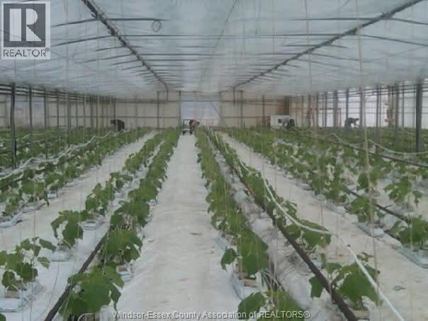 725 Mersea Rd 6 East, Leamington, Ontario  N8H 3V8 - Photo 44 - 25030540