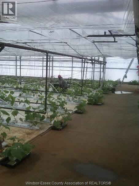 725 Mersea Rd 6 East, Leamington, Ontario  N8H 3V8 - Photo 46 - 25030540