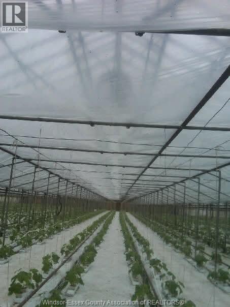 725 Mersea Rd 6 East, Leamington, Ontario  N8H 3V8 - Photo 47 - 25030540