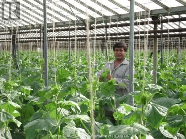 725 Mersea Rd 6 East, Leamington, Ontario  N8H 3V8 - Photo 48 - 25030540