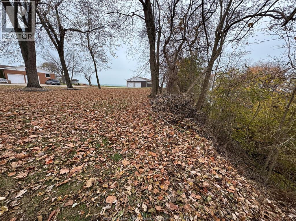 1239 Oxford & Lot 13 Oxford Avenue, Kingsville, Ontario  N9Y 2S8 - Photo 41 - 25030730