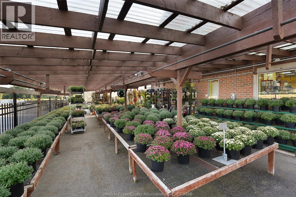 585 Seacliff Drive, Kingsville, Ontario  N9Y 2K6 - Photo 12 - 25030751