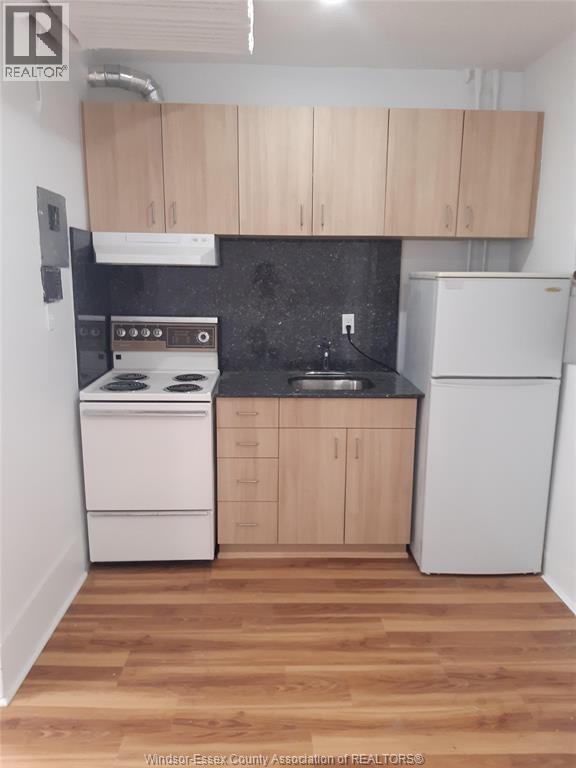 147 Janette Avenue, Windsor, Ontario  N9A 4Y7 - Photo 16 - 26000548