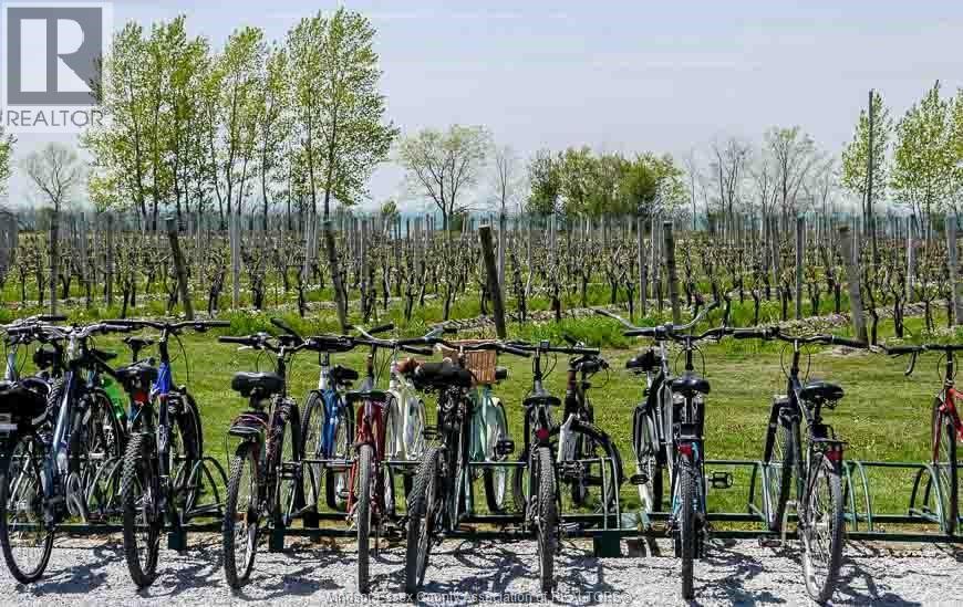 137 Sheridan Point Road, Pelee Island, Ontario  N0R 1M0 - Photo 3 - 26001562