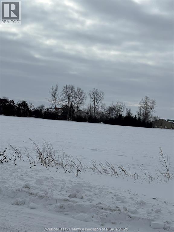 5075 North Talbot Road, Tecumseh, Ontario  N0R 1K0 - Photo 3 - 26002024