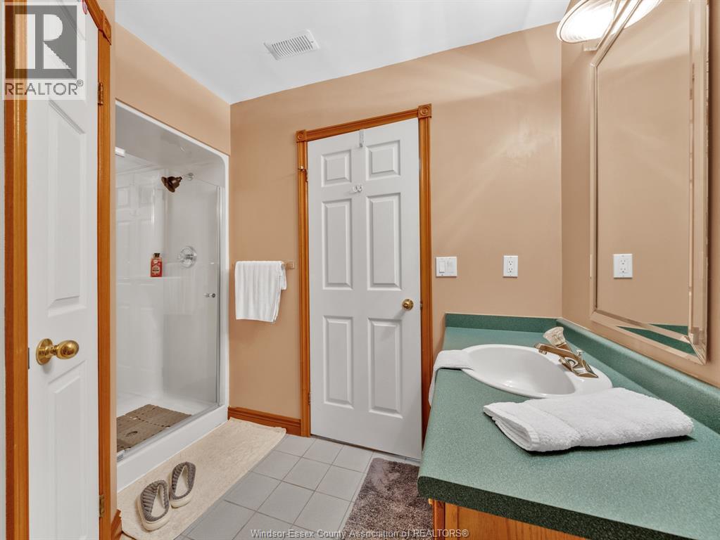 3157 Robinet, Windsor, Ontario  N8R 1P7 - Photo 50 - 26002541