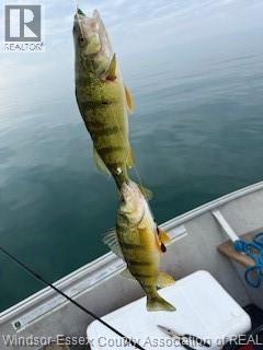 3214 St.clair Rd, Stoney Point, Ontario  N0R 1N0 - Photo 49 - 26002832