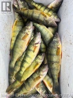 3214 St.clair Rd, Stoney Point, Ontario  N0R 1N0 - Photo 50 - 26002832