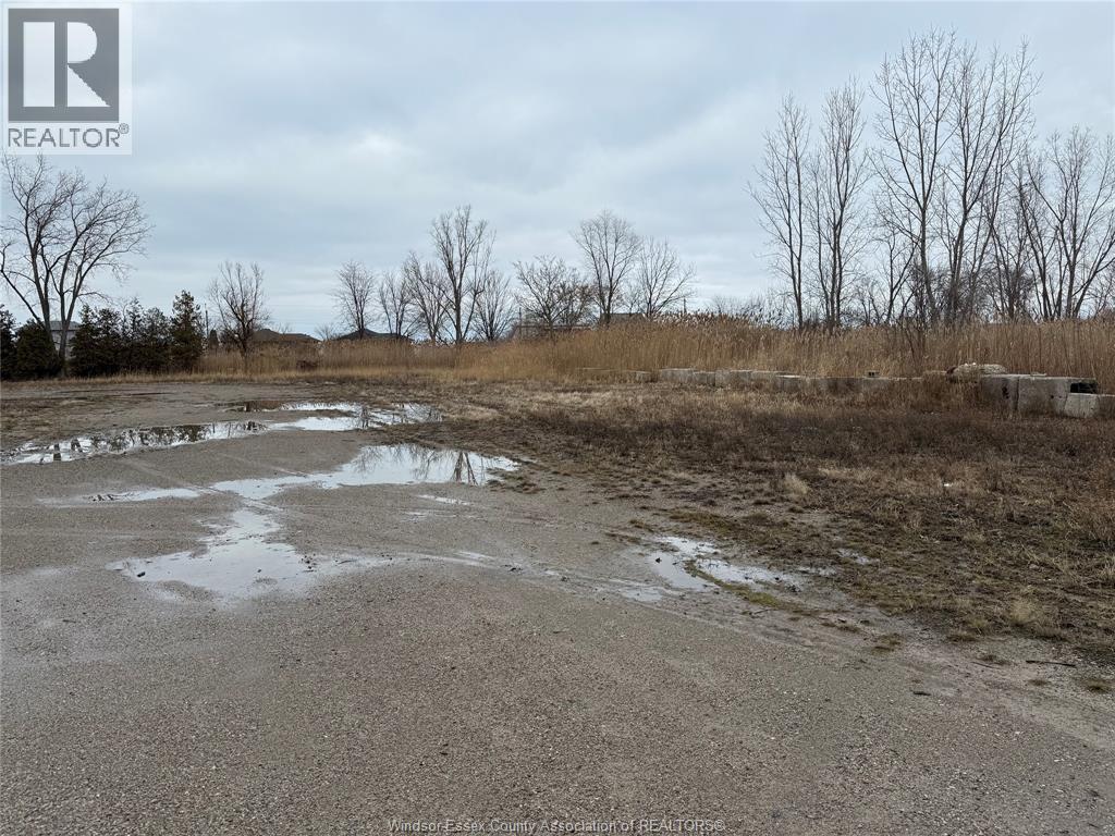 739 County Rd 2 Unit# C, Lakeshore, Ontario  N0R 1A0 - Photo 8 - 26003694