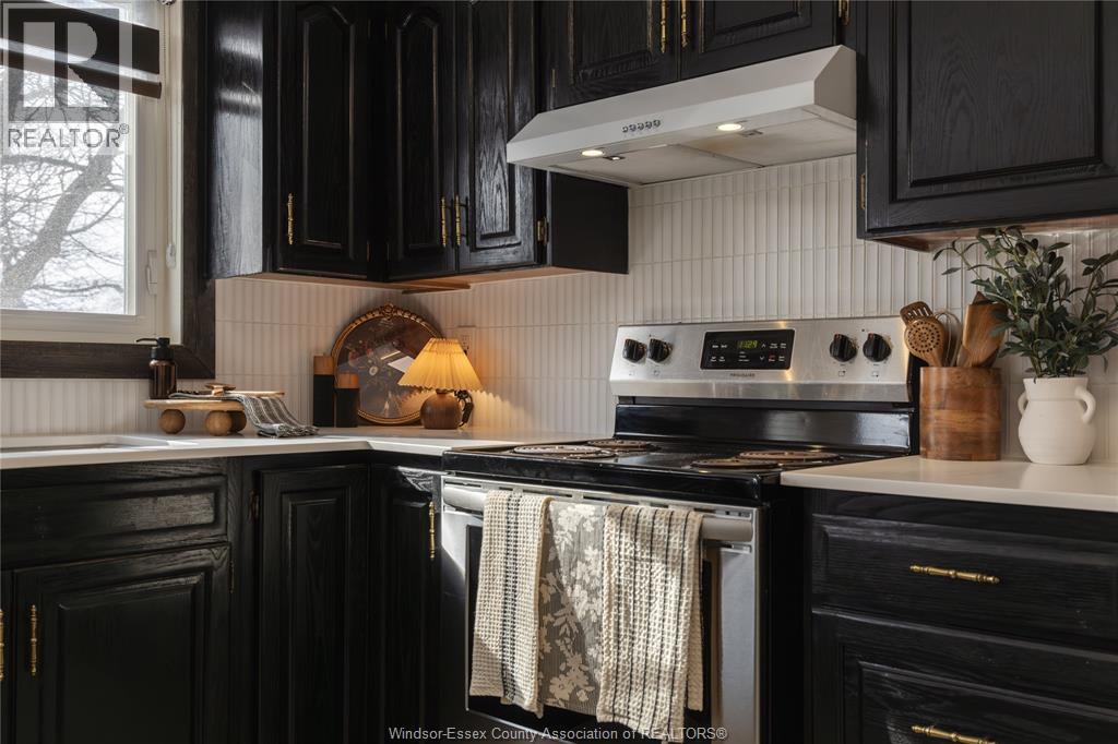 233 Old Tecumseh, Lakeshore, Ontario  N8N 3S9 - Photo 16 - 26003703