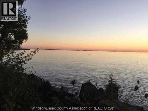 949 West Shore Road, Pelee Island, Ontario  N0R 1M0 - Photo 10 - 26004003