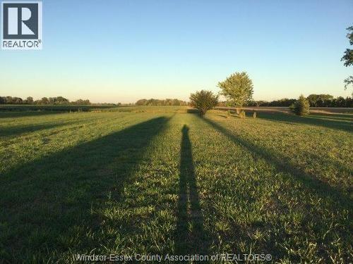 949 West Shore Road, Pelee Island, Ontario  N0R 1M0 - Photo 6 - 26004003