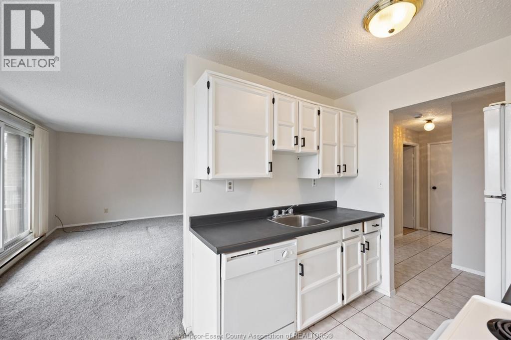 3936 Wyandotte Street East Unit# 312, Windsor, Ontario  N8Y 4V1 - Photo 3 - 26004655