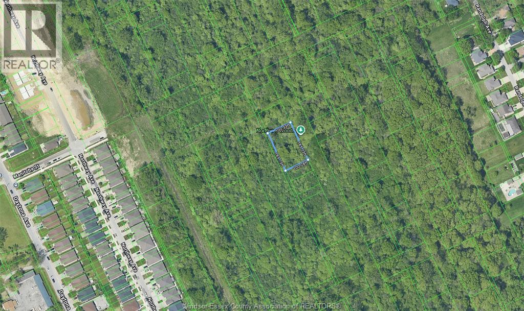 V/L CALIFORNIA, Windsor, Ontario