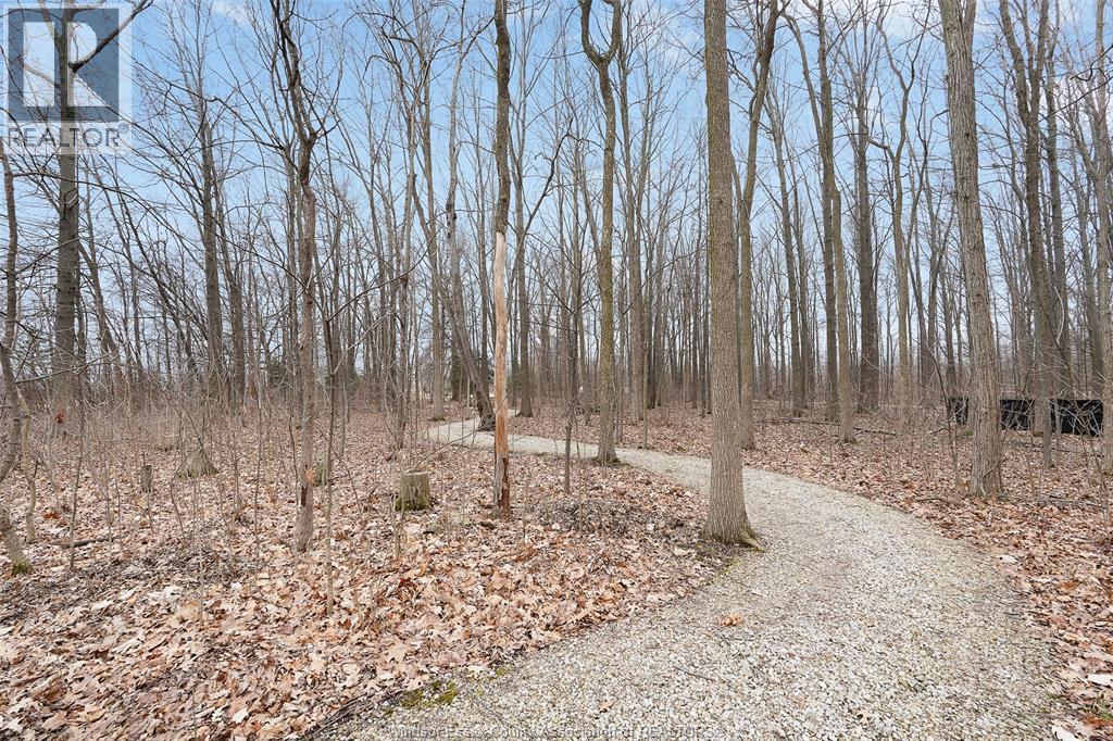 9907 Concession 9 Road, Essex, Ontario  N8M 2X5 - Photo 35 - 26006111