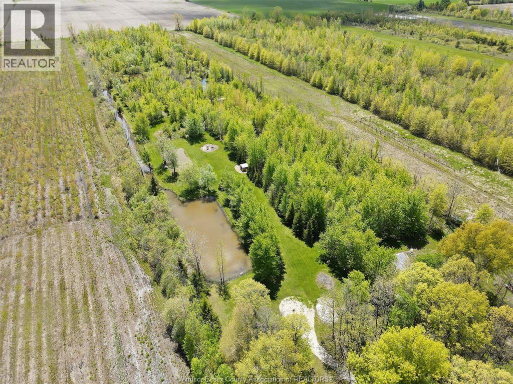 9907 Concession 9 Road, Essex, Ontario  N8M 2X5 - Photo 38 - 26006111