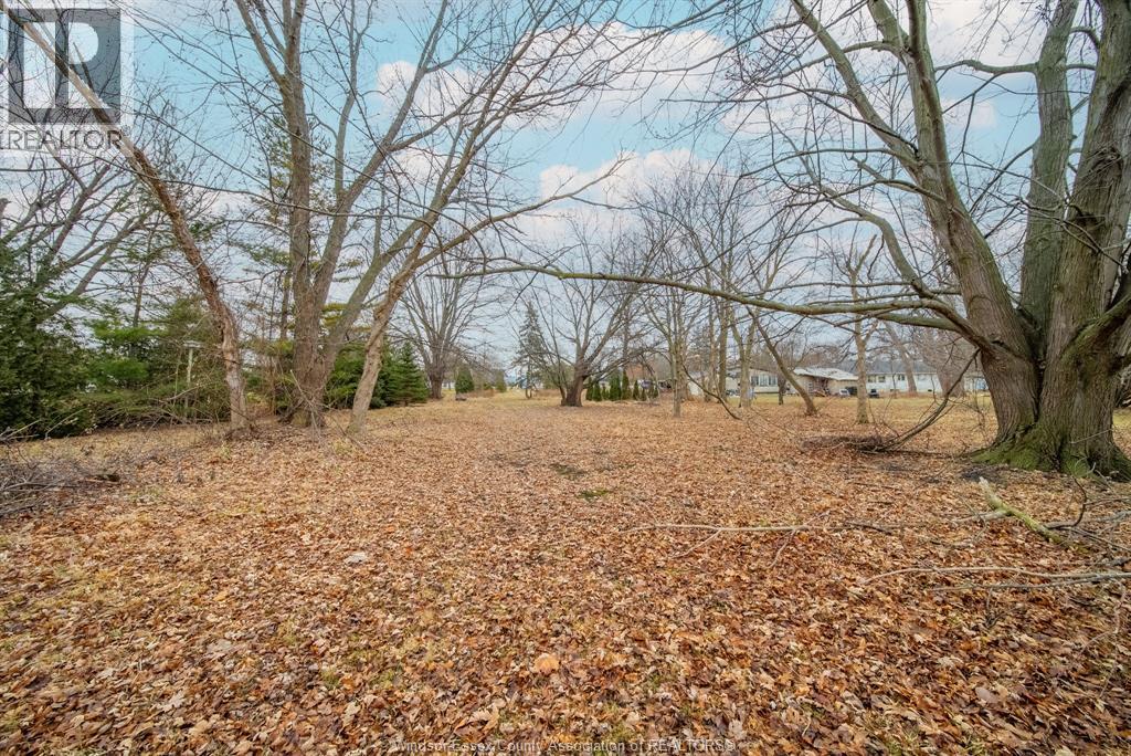 1256 Highway 2, Emeryville, Ontario  N0R 1C0 - Photo 40 - 26007017