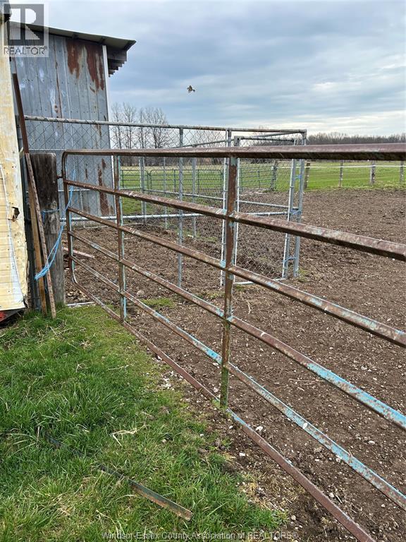 1891 Road 4, Kingsville, Ontario  N9Y 2E5 - Photo 35 - 26007963