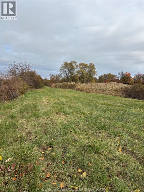 V/l County Rd 20 W, Kingsville, Ontario  N9Y 2E6 - Photo 10 - 26009921
