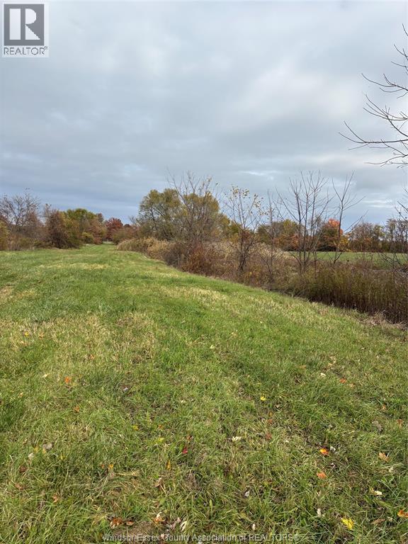 V/l County Rd 20 W, Kingsville, Ontario  N9Y 2E6 - Photo 11 - 26009921