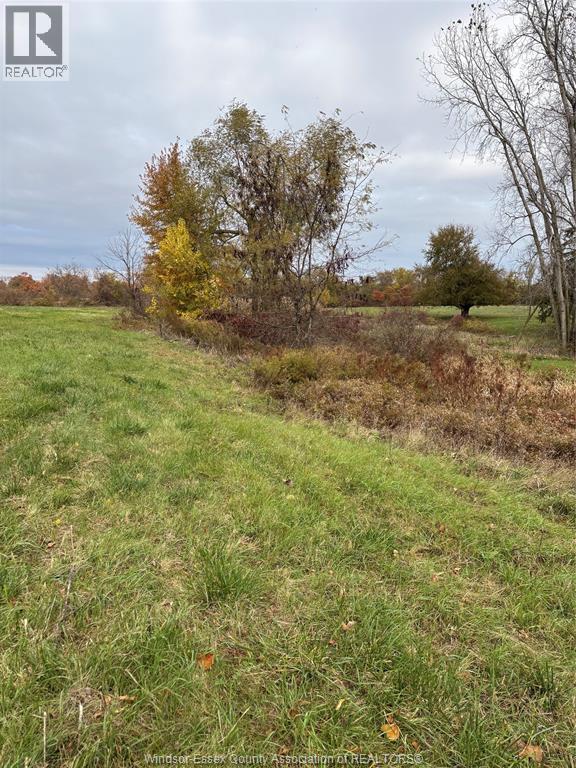 V/l County Rd 20 W, Kingsville, Ontario  N9Y 2E6 - Photo 12 - 26009921