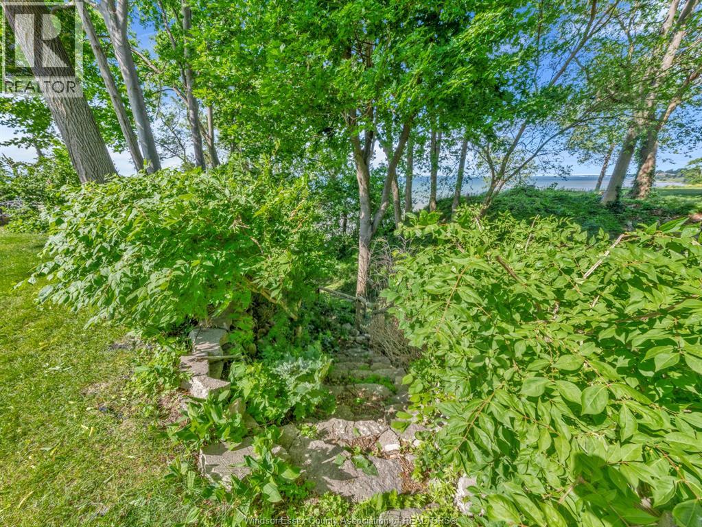 388 Seacliff Drive West, Leamington, Ontario  N8H 4E1 - Photo 46 - 26010482