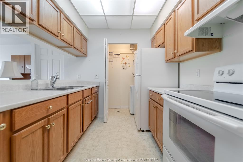 315 Village Grove Drive Unit# 301, Tecumseh, Ontario  N8N 5G4 - Photo 15 - 26007538