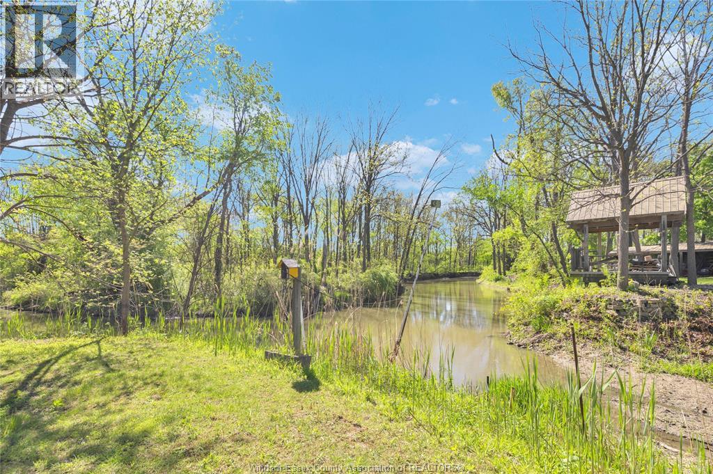 302 West Pike Creek Road, Lakeshore, Ontario  N8N 2L9 - Photo 6 - 26011183