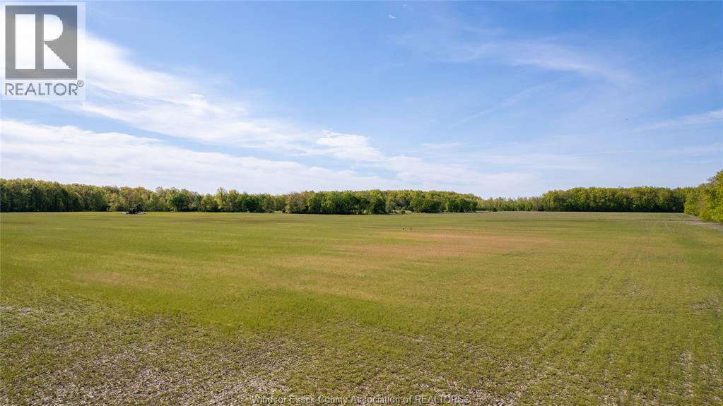 V/l Concession 5, Essex, Ontario  N0R 1G0 - Photo 11 - 26011378