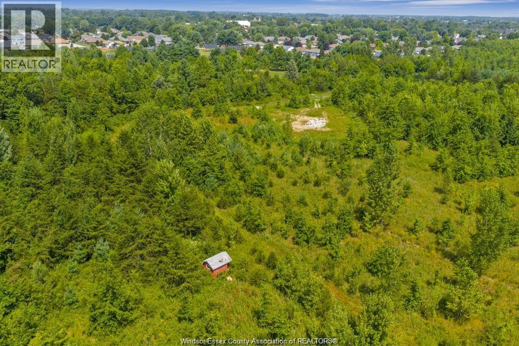 39 William Street, Kingsville, Ontario  N0R 1B0 - Photo 7 - 26011289