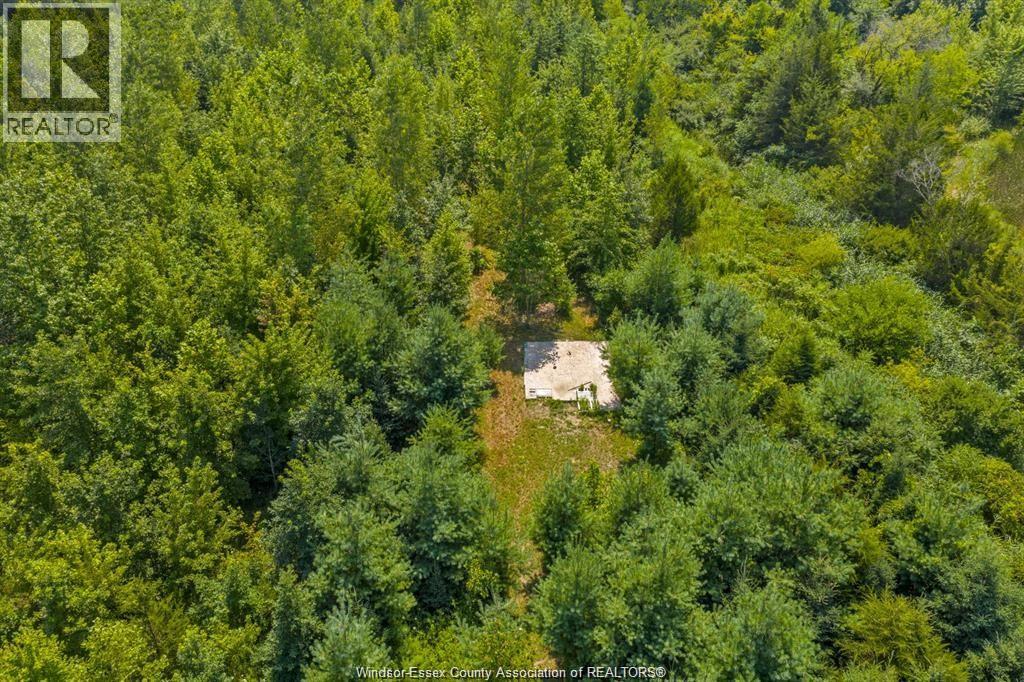 39 William Street, Kingsville, Ontario  N0R 1B0 - Photo 9 - 26011289