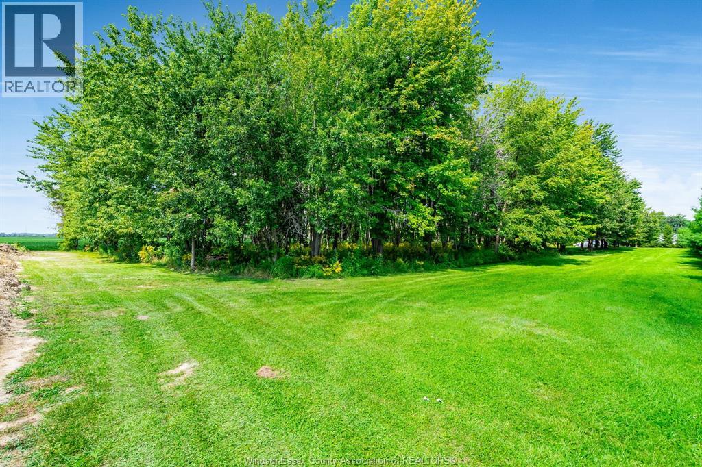 863 Road 6 East, Ruthven, Ontario  N0P 2G0 - Photo 43 - 26011515