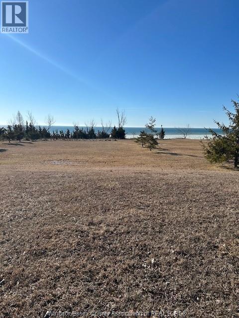 3144 Talbot Trail, Chatham-Kent, Ontario  N0P 2P0 - Photo 2 - 26011814
