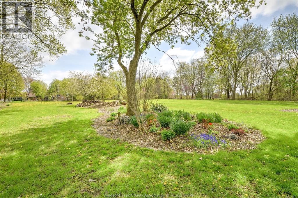 885 Front Road North, Amherstburg, Ontario  N9V 2V6 - Photo 11 - 26013007