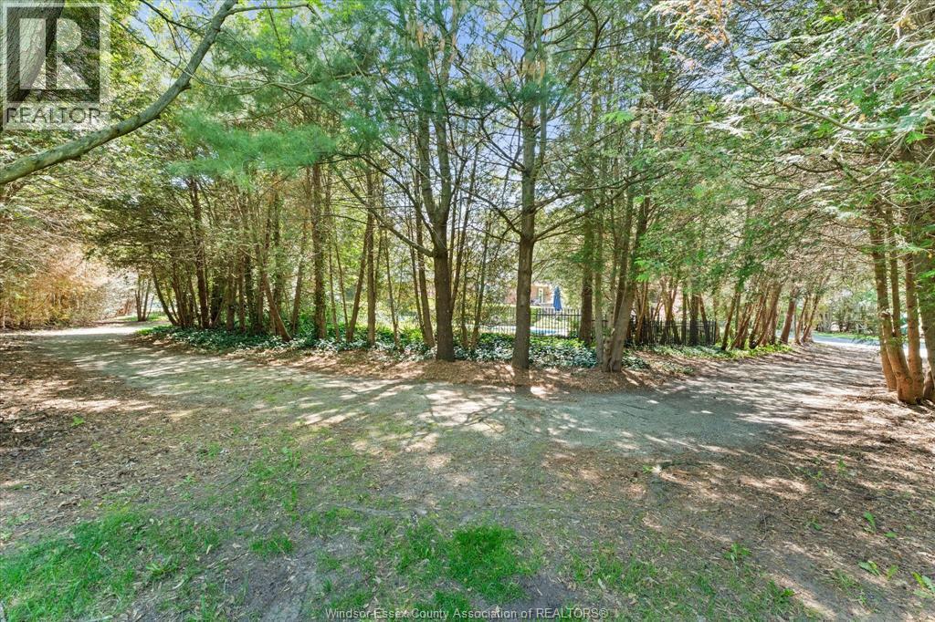 930 Road 4 E (Cty Rd 18), Kingsville, Ontario  N9Y 2E5 - Photo 38 - 26012807