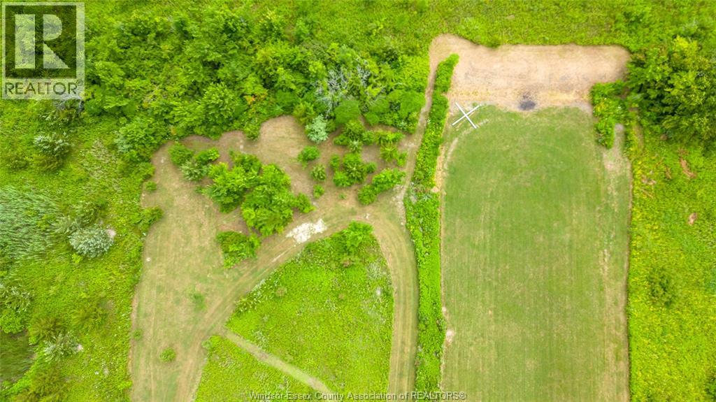 7063 Coulter Sideroad, Essex, Ontario  N0R 1B0 - Photo 22 - 26013146