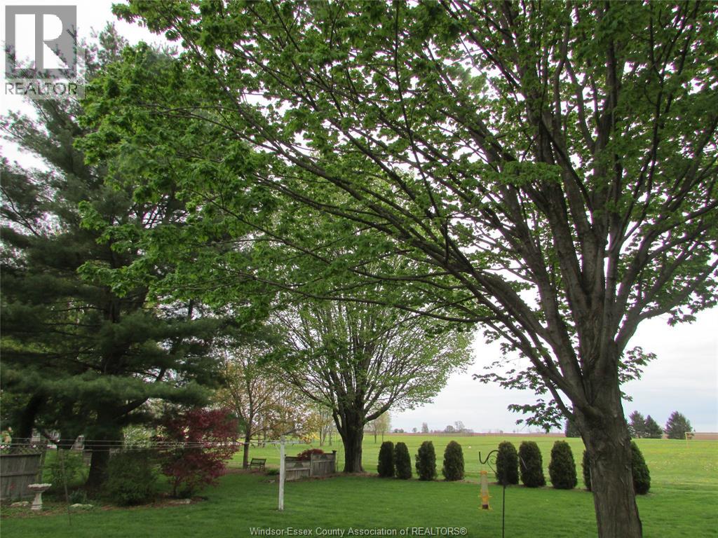 171 Main Street East, Ridgetown, Ontario  N0P 2C0 - Photo 36 - 26013428