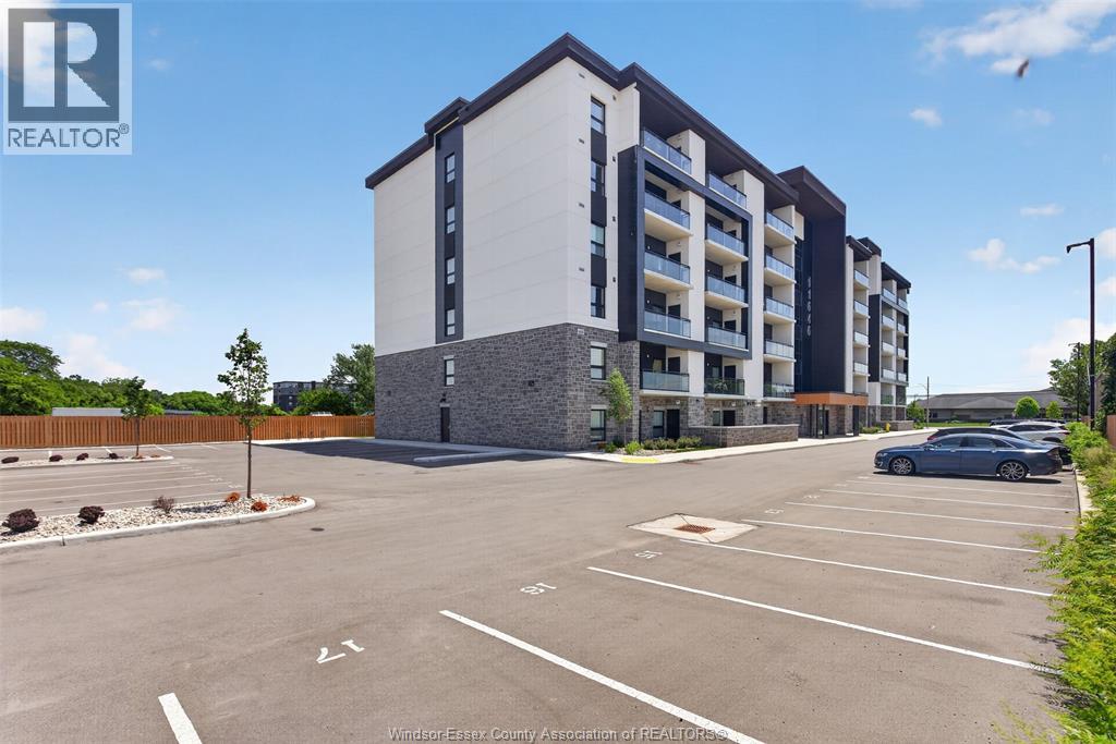 11646 Tecumseh Road East Unit# 201, Windsor, Ontario  N8N 0J9 - Photo 2 - 26013797