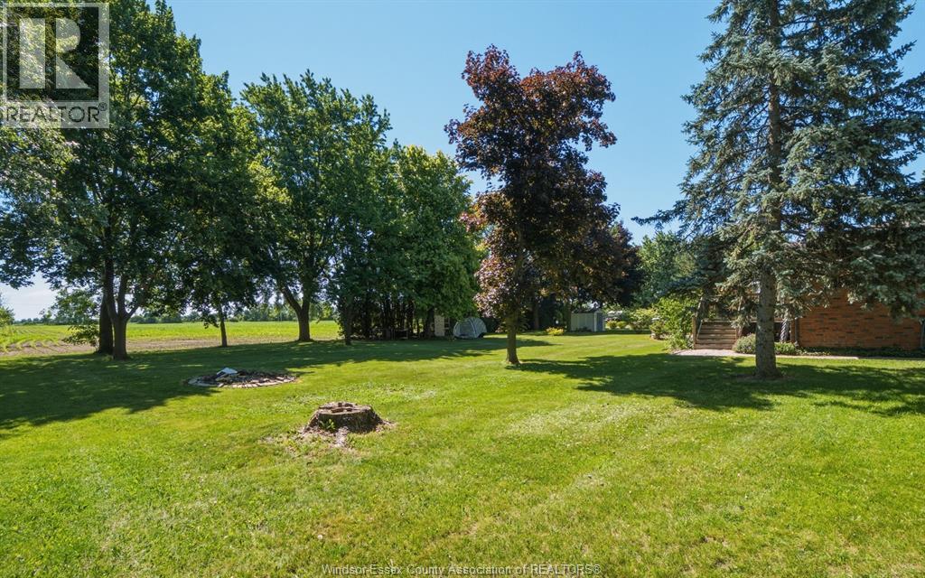 1732 Belle River Road, Lakeshore, Ontario  N0R 1V0 - Photo 43 - 26014039