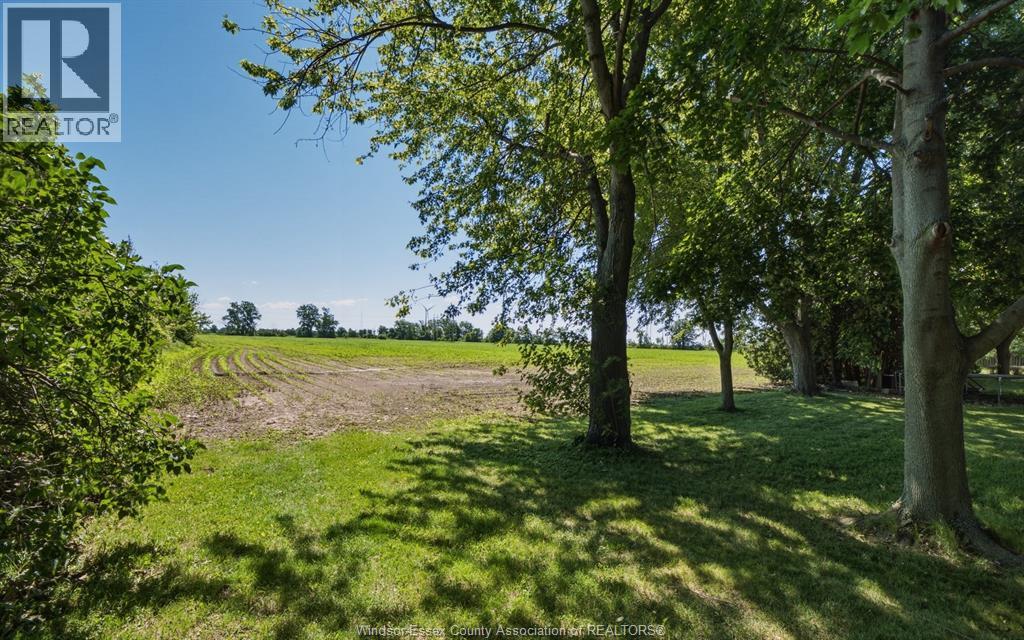 1732 Belle River Road, Lakeshore, Ontario  N0R 1V0 - Photo 44 - 26014039