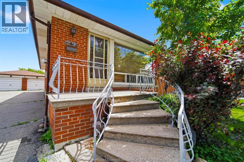 29 FERNANDO, Toronto, Ontario