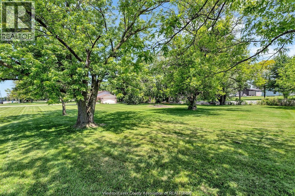 224 West Pike Creek, Lakeshore, Ontario  N8N 2L9 - Photo 4 - 26014766